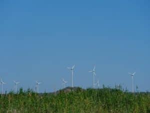 Green Building Boom: Sustainable Materials and Energy Efficiency