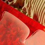 Ethical and Fair-Trade Products: The Growing Demand for Responsible Consumption