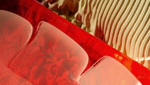 Ethical and Fair-Trade Products: The Growing Demand for Responsible Consumption