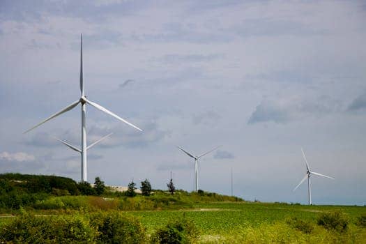 Regenerative Farming's Rise: Politics and Sustainability in 2025