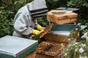 Safe food production: Safety for all