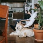 Gadgets for Pet Owners: Tech That Cares for Your Furry Friends