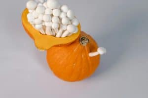 Molecular Farming's Harvest: Designing Better Ingredients for Health