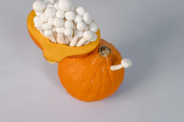 Molecular Farming's Harvest: Designing Better Ingredients for Health