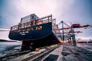 Local Solutions Over Global Supply Chains: The Shift in Food Systems