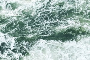 Eco-Friendly Dishwashers: Biodegradable Detergents and Reduced Water Use