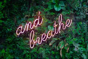 Longevity Retreats: The Hottest Trend in Wellness Travel