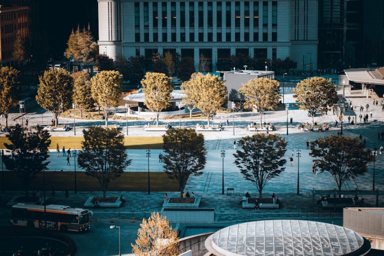 Hidden Gems to Discover in Tokyo: A Local’s Perspective