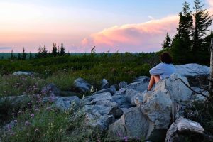 Outdoor Adventures: Durable Gadgets Built for the Wilderness